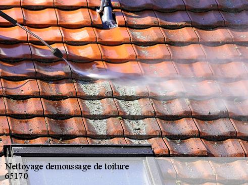 Nettoyage demoussage de toiture  camparan-65170 BOUHNACH Couverture