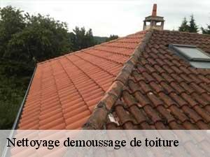 Nettoyage demoussage de toiture