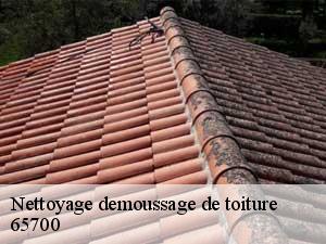 Nettoyage demoussage de toiture  65700