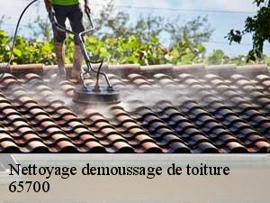 Nettoyage demoussage de toiture  65700