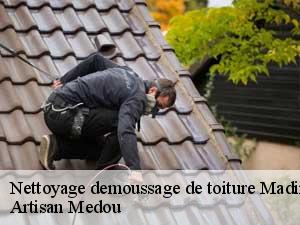 Nettoyage demoussage de toiture