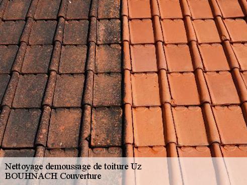 Nettoyage demoussage de toiture  uz-65400 BOUHNACH Couverture