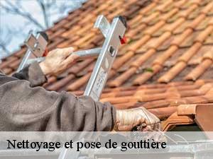 Nettoyage et pose de gouttière