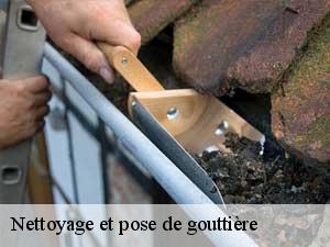 Nettoyage et pose de gouttière  65170