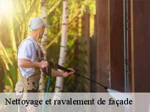 Nettoyage et ravalement de façade  65130