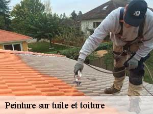 Peinture sur tuile et toiture