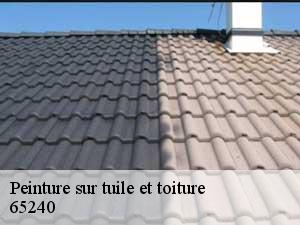 Peinture sur tuile et toiture  65240