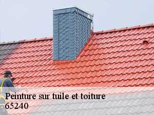 Peinture sur tuile et toiture  65240