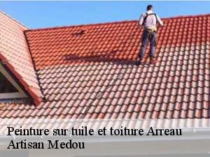 Peinture sur tuile et toiture  arreau-65240 Artisan Medou