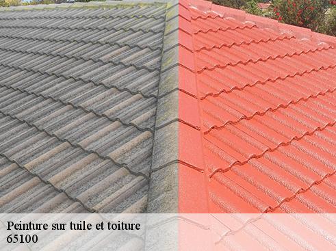 Peinture sur tuile et toiture  arrodets-ez-angles-65100 BOUHNACH Couverture