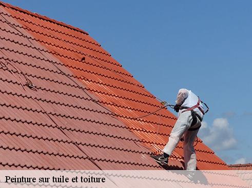 Peinture sur tuile et toiture  arrodets-ez-angles-65100 BOUHNACH Couverture