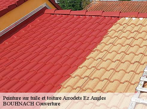 Peinture sur tuile et toiture  arrodets-ez-angles-65100 BOUHNACH Couverture