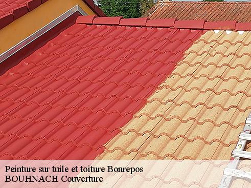 Peinture sur tuile et toiture  bonrepos-65330 BOUHNACH Couverture