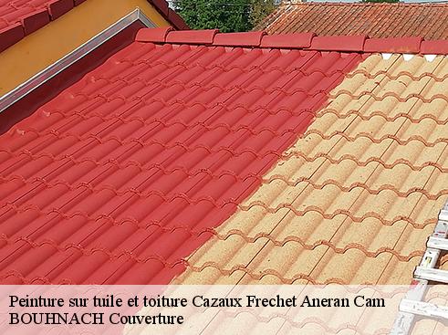 Peinture sur tuile et toiture  cazaux-frechet-aneran-cam-65510 BOUHNACH Couverture