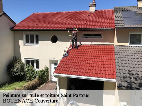 Peinture sur tuile et toiture  saint-pastous-65400 BOUHNACH Couverture