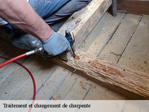 Traitement et changement de charpente  aragnouet-65170 BOUHNACH Couverture