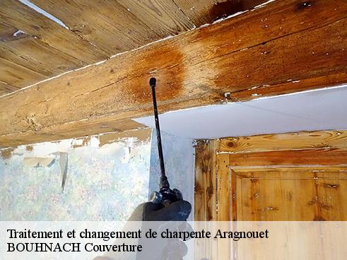 Traitement et changement de charpente  aragnouet-65170 BOUHNACH Couverture