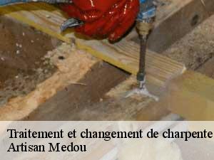 Traitement et changement de charpente  ayros-arbouix-65400 Artisan Medou