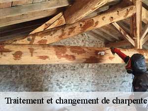 Traitement et changement de charpente