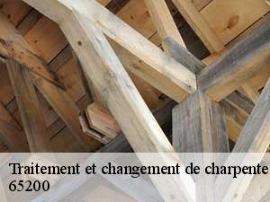 Traitement et changement de charpente  65200