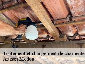 Traitement et changement de charpente  65200