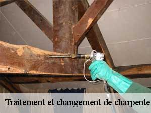 Traitement et changement de charpente  65200