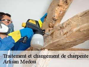 Traitement et changement de charpente