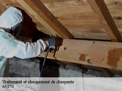 Traitement et changement de charpente  gaudent-65370 BOUHNACH Couverture