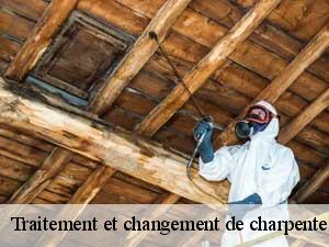 Traitement et changement de charpente