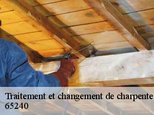 Traitement et changement de charpente  65240