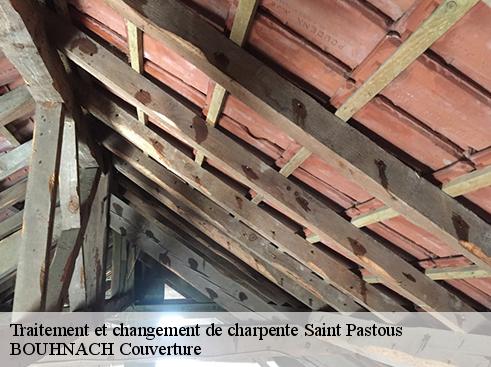 Traitement et changement de charpente  saint-pastous-65400 BOUHNACH Couverture