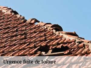 Urgence fuite de toiture