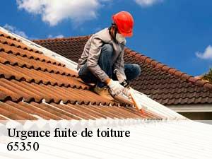 Urgence fuite de toiture  65350