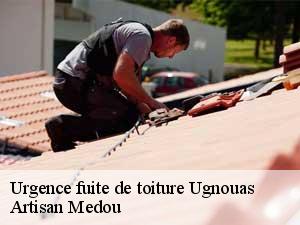 Urgence fuite de toiture