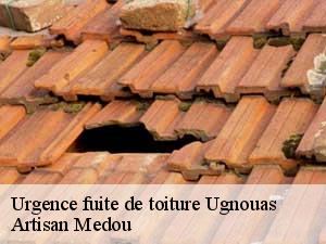 Urgence fuite de toiture  ugnouas-65140 Artisan Medou