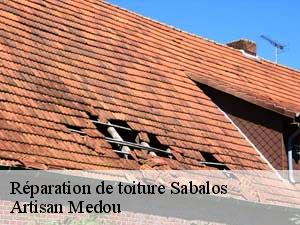 Réparation de toiture  sabalos-65350 Artisan Medou